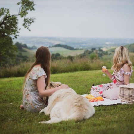 Bed and Breakfast Blizej Nieba Skrzydlna Exteriér fotografie