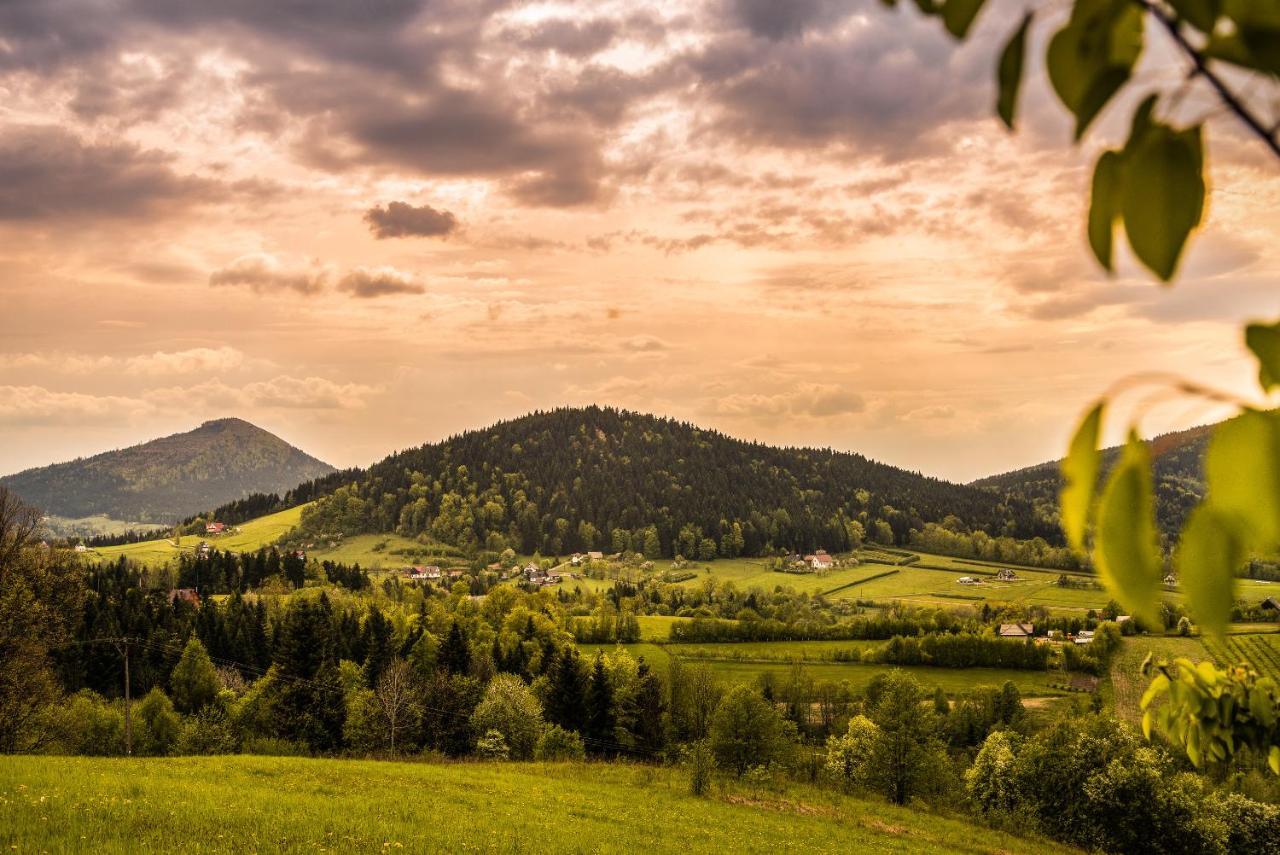 Bed and Breakfast Blizej Nieba Skrzydlna Exteriér fotografie