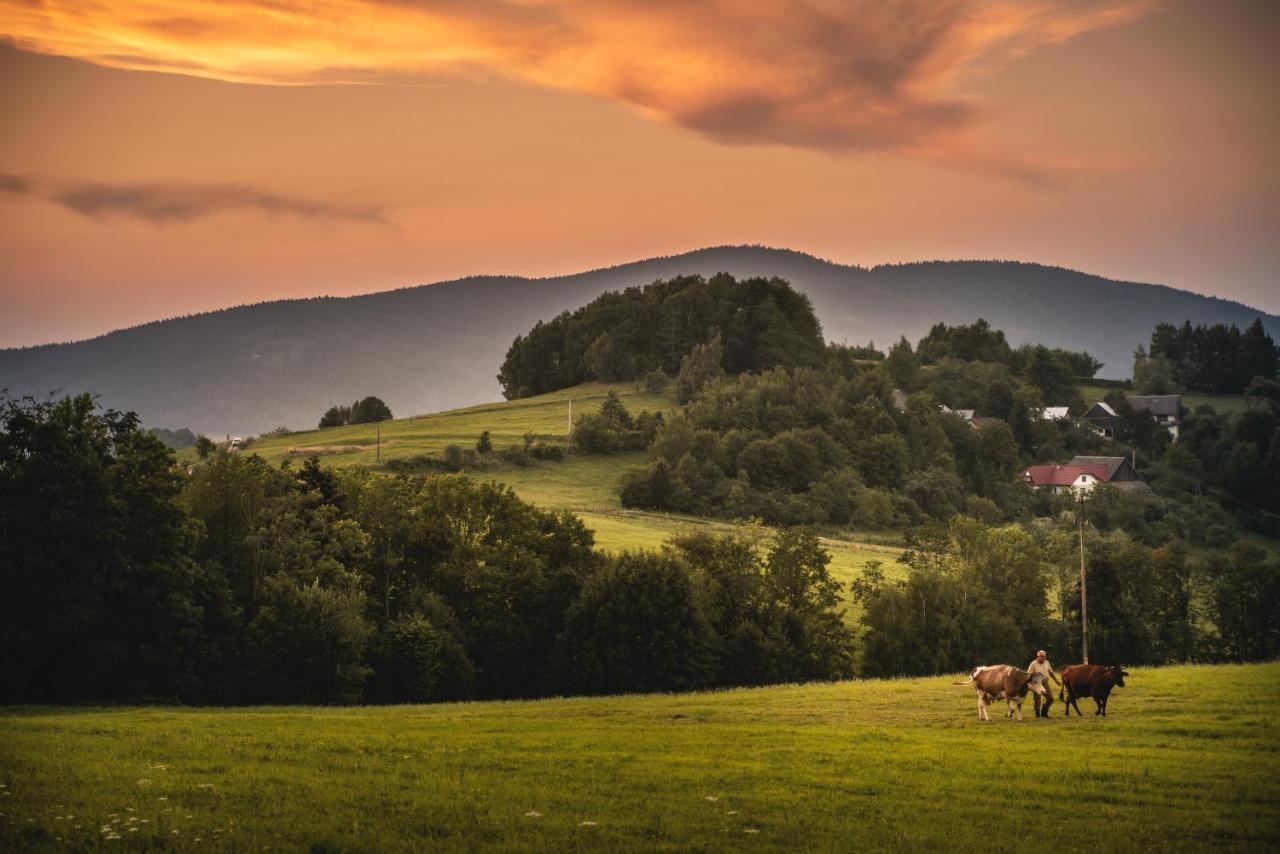 Bed and Breakfast Blizej Nieba Skrzydlna Exteriér fotografie